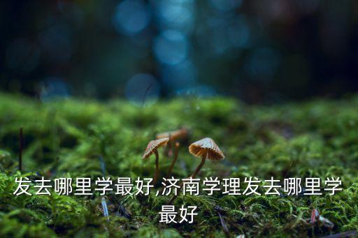 学理发去哪里学最好,济南学理发去哪里学最好