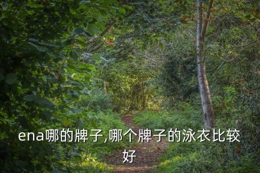 arena哪的牌子,哪个牌子的泳衣比较好?