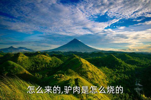 怎么来的,驴肉是怎么烧的