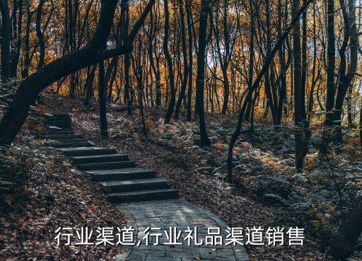 行业渠道,行业礼品渠道销售