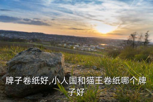 哪个牌子卷纸好,小人国和猫王卷纸哪个牌子好?