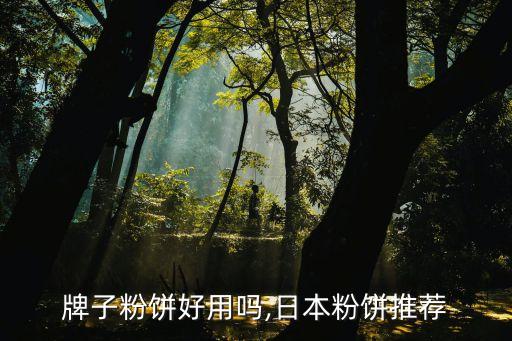 牌子粉饼好用吗,日本粉饼推荐