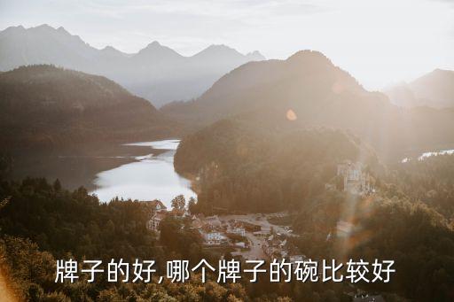 牌子的好,哪个牌子的碗比较好