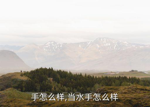 当水手怎么样,当水手怎么样