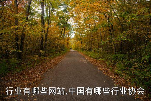 行业有哪些网站,中国有哪些行业协会