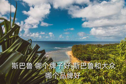 大众 斯巴鲁 哪个牌子好,斯巴鲁和大众哪个品牌好?