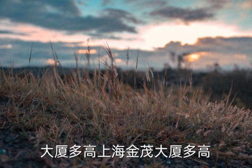 大厦多高上海金茂大厦多高