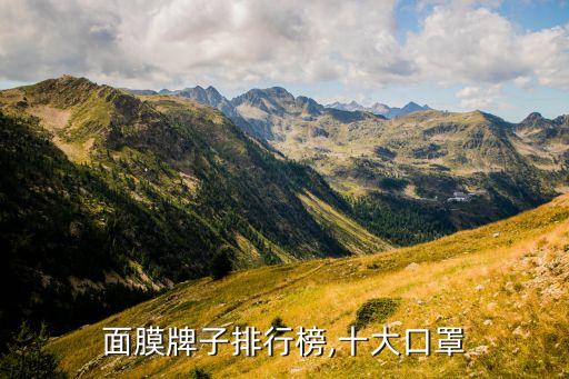 中国面膜牌子排行榜,十大口罩