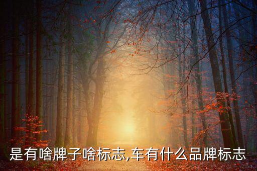 车都是有啥牌子啥标志,车有什么品牌标志?