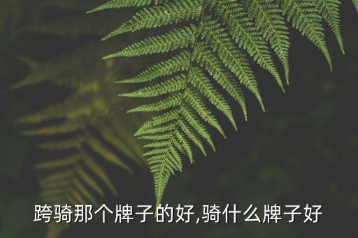 电动跨骑那个牌子的好,骑什么牌子好?