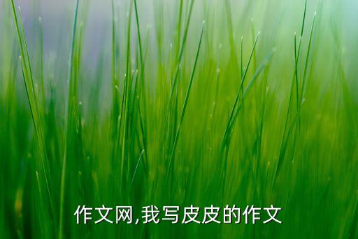 作文网,我写皮皮的作文