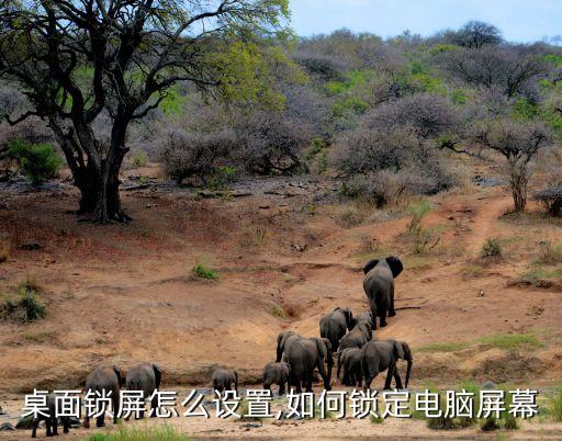 电脑桌面锁屏怎么设置,如何锁定电脑屏幕