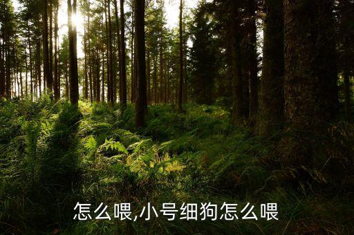 细狗怎么喂,小号细狗怎么喂