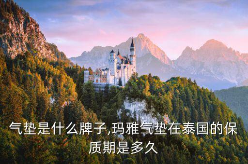 气垫是什么牌子,玛雅气垫在泰国的保质期是多久