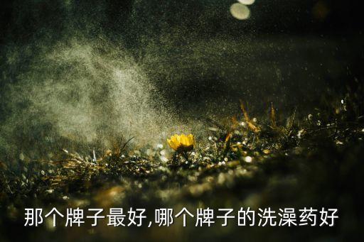 药浴那个牌子最好,哪个牌子的洗澡药好?