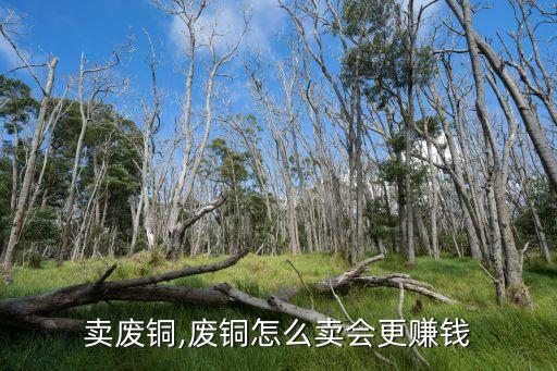 怎么卖废铜,废铜怎么卖会更赚钱