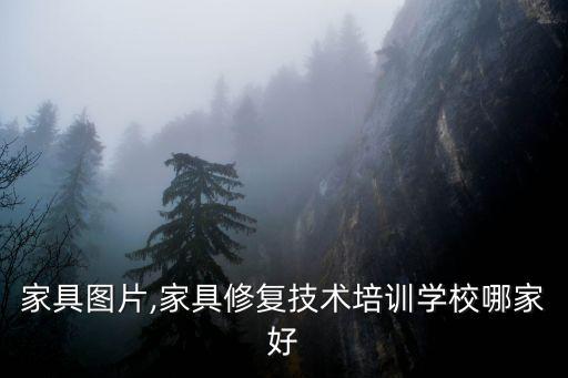 家具图片,家具修复技术培训学校哪家好