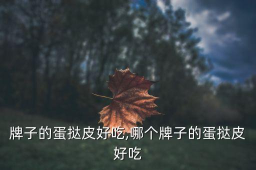 什么牌子的蛋挞皮好吃,哪个牌子的蛋挞皮好吃?