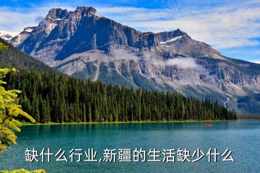 新疆缺什么行业,新疆的生活缺少什么?