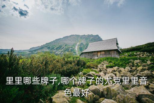 里里哪些牌子,哪个牌子的尤克里里音色最好