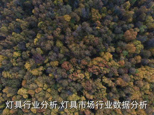 灯具行业分析,灯具市场行业数据分析