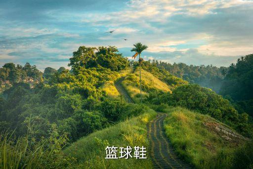 儿童篮球鞋