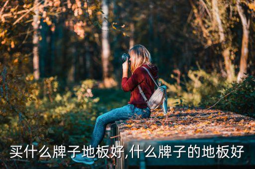 买什么牌子地板好,什么牌子的地板好