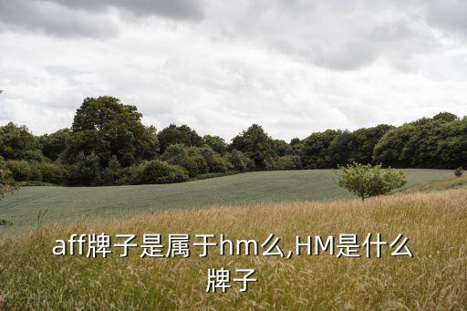 staff牌子是属于hm么,HM是什么牌子?