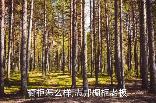 老板橱柜怎么样,志邦橱柜老板