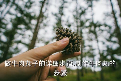 如何做牛肉丸子的详细步骤,制作牛肉丸的步骤