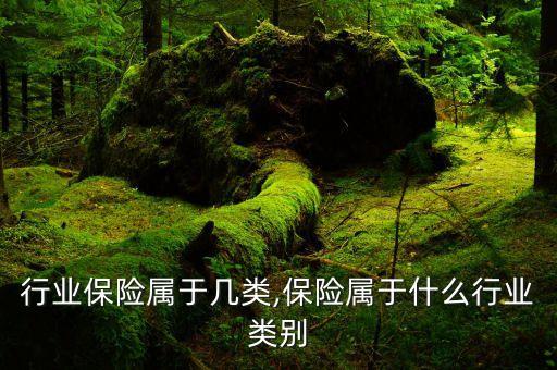 行业保险属于几类,保险属于什么行业类别