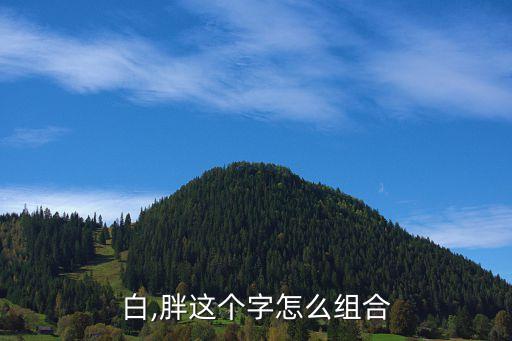圆肥白,胖这个字怎么组合?