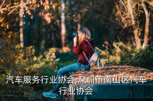 汽车服务行业协会,深圳市南山区汽车行业协会