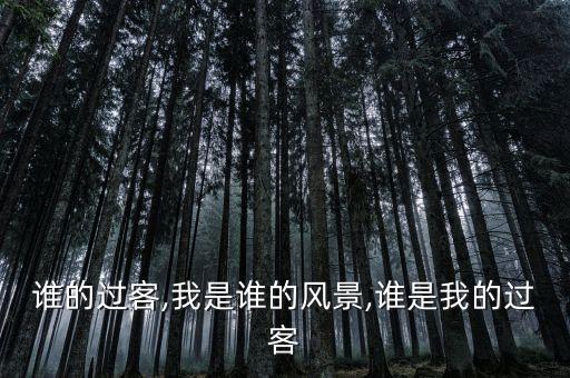 谁的过客,我是谁的风景,谁是我的过客