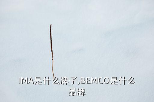 IMA是什么牌子,BEMCO是什么品牌