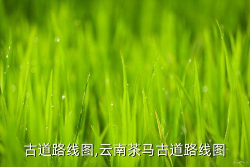 古道路线图,云南茶马古道路线图