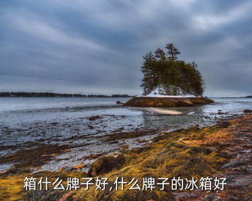 这冰箱什么牌子好,什么牌子的冰箱好?
