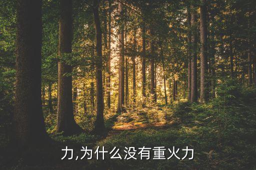 力,为什么没有重火力