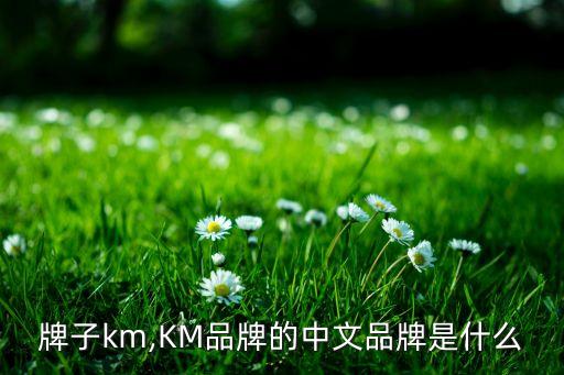 白色牌子km,KM品牌的中文品牌是什么?