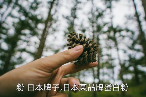 蛋白粉 日本牌子,日本某品牌蛋白粉