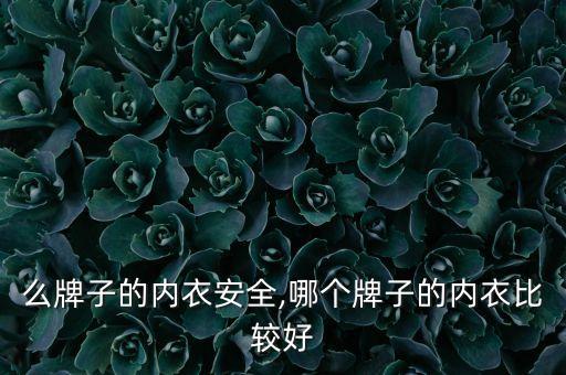 买什么牌子的内衣安全,哪个牌子的内衣比较好?