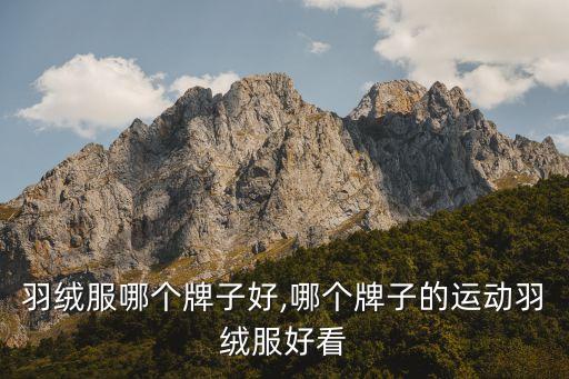 运动羽绒服哪个牌子好,哪个牌子的运动羽绒服好看?