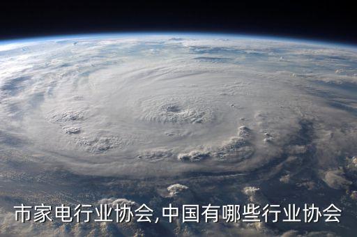 天津市家电行业协会,中国有哪些行业协会?