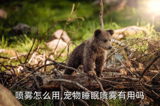 睡眠喷雾怎么用,宠物睡眠喷雾有用吗?