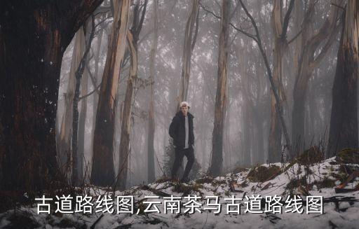 古道路线图,云南茶马古道路线图