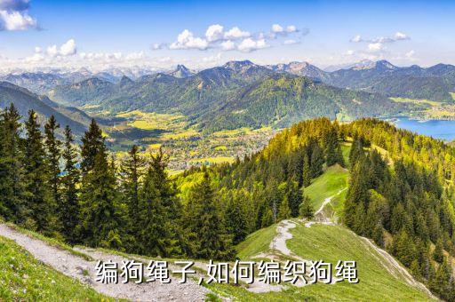 编狗绳子,如何编织狗绳