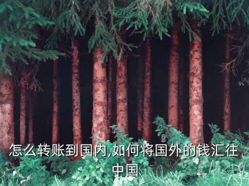 国外怎么转账到国内,如何将国外的钱汇往中国?