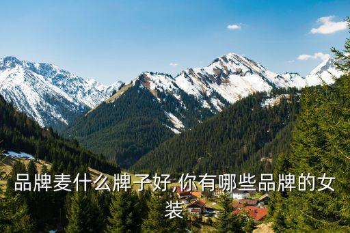 品牌麦什么牌子好,你有哪些品牌的女装