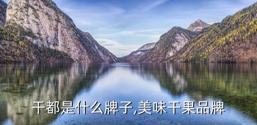 水果干都是什么牌子,美味干果品牌