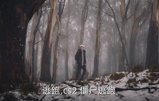 逃跑,cs2 僵尸逃跑